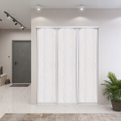 Дверь-купе 883x2552 мм ясень анкор светлый/серебро Elegant - фото 3