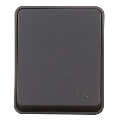 Выключатель Systeme Electric AtlasDesign Profi54 одноклавишный накладной антрацит (ATN544011) - фото 1