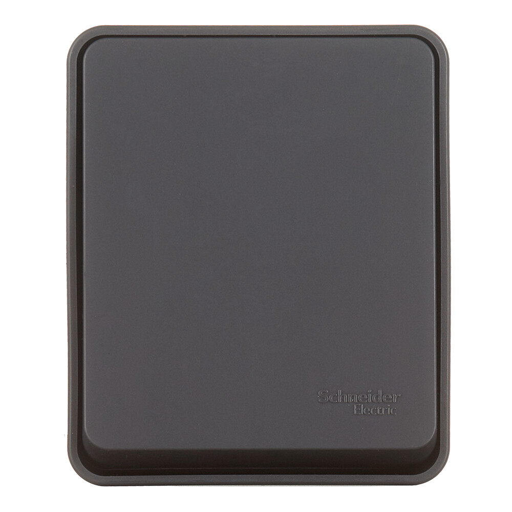 Изображение товара Переключатель Systeme Electric AtlasDesign Profi54 одноклавишный накладной антрацит (ATN544061)