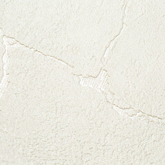 Обои компакт-винил на флизелиновой основе Fipar Felicita R23306 (1,06х10,05 м) - фото 3