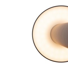 Светильник светодиодный садово-парковый Outdoor Wald графит 400 мм 3000К 12 Вт IP65 (O420FL-L12GF) - фото 5