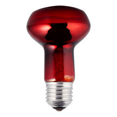 Изображение товара Лампа накаливания для брудера и террариума Эра E27 60 Вт 70 Лм 230 В матовая