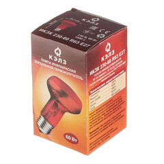 Лампа накаливания для брудера и террариума Эра E27 60 Вт 70 Лм 230 В матовая - фото 4