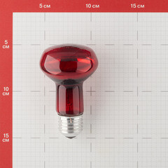 Лампа накаливания для брудера и террариума Эра E27 60 Вт 70 Лм 230 В матовая - фото 3