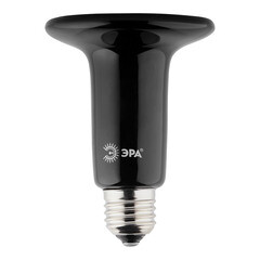 Изображение товара Лампа накаливания для брудера и террариума Эра E27 150 Вт 220 В матовая