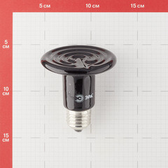 Лампа накаливания для брудера и террариума Эра E27 50 Вт 220 В матовая - фото 3