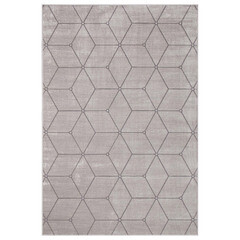 Ковер 1,6х2,3 м прямоугольный Euphoria 13100 серебряный - фото 1