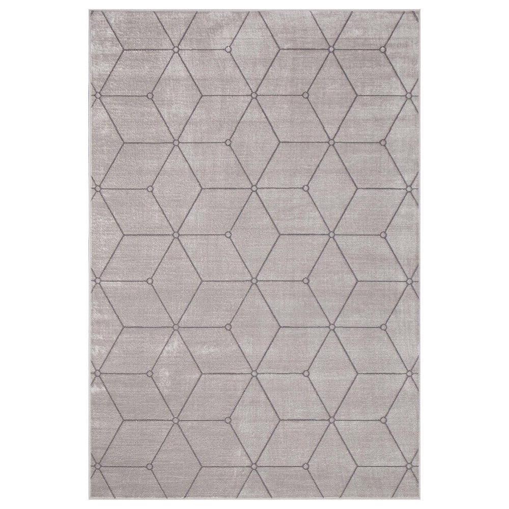 Изображение товара Ковер Euphoria 13100 серебряный 1,6х2,3 м современный из вискозы и хлопка