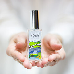 Аромадиффузор с палочками Bago home Новая земля 75 мл - фото 4