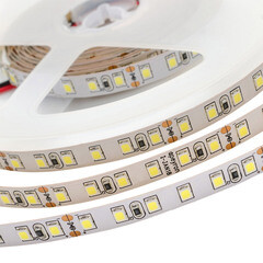 Лента светодиодная SMD 3528 6500К 24 В 10 Вт/м 5 м IP20 Apeyron (129ПРЗ) - фото 3