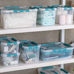 Контейнер для хранения Econova Grand Box (433224202) 290х190х180 мм 6,65 л с замком и органайзером - фото 4