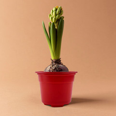 Горшок круглый Color 110х110 мм мультиколор Газон Сити (10 шт.) - фото 2