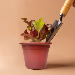 Горшок круглый Color 110х110 мм Газон Сити (10 шт.) - фото 2