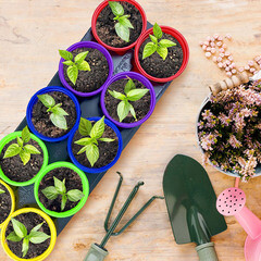 Набор для рассады квадратный Rainbow 105х80 мм с пластиковыми горшками Газон Сити - фото 2