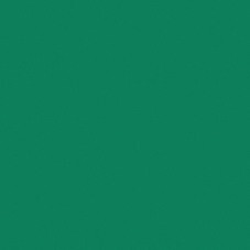 Линолеум спортивный Тarkett Omnisports R65 Action Field Green 2 м