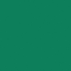 Линолеум спортивный Тarkett Omnisports R65 Action Field Green 2 м