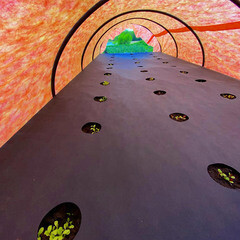 Укрывной материал для защиты от сорняков Агротекс Сад 60 г/кв.м УФ стабилизатор перфорированный 0,8х10 м черный - фото 3