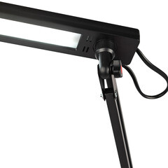 Лампа настольная светодиодная 3000-6000К 8 Вт Эра NLED-507 (Б0058338) - фото 6