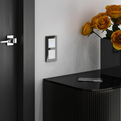 Выключатель Werkel одноклавишный встраиваемый белый сенсорный с подсветкой (a057676) - фото 2