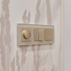 Выключатель Werkel двухклавишный встраиваемый шампань рифленый с подсветкой (a051414) - фото 6