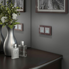 Выключатель Werkel одноклавишный встраиваемый серебряный сенсорный с подсветкой (a057680) - фото 4