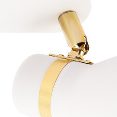 Спот Arte Lamp Fafnir E27 80 Вт 2,5 кв.м белый IP20 (A5047PL-2WH) - фото 3