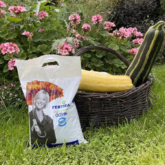 Удобрение сухое осеннее гранулированное Тукосмесь Осень Fertika 5 кг - фото 2