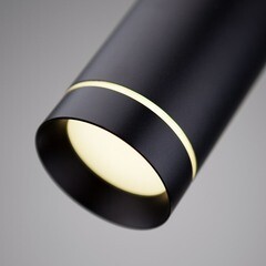 Светильник светодиодный садово-парковый подвесной Elektrostandard DLR023 черный 610 мм 4000К 10 Вт IP54 (35084/H) - фото 3