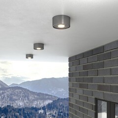 Светильник светодиодный садово-парковый накладной Elektrostandard Light LED серый 52 мм 4000К 12 Вт IP65 (35141/H) - фото 5