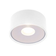 Светильник светодиодный садово-парковый накладной Elektrostandard Light LED белый 52 мм 4000К 12 Вт IP65 (35141/H) - фото 1