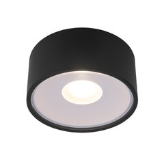 Изображение товара Светильник светодиодный садово-парковый накладной Elektrostandard Light LED черный 52 мм 4000К 12 Вт IP65 (35141/H)