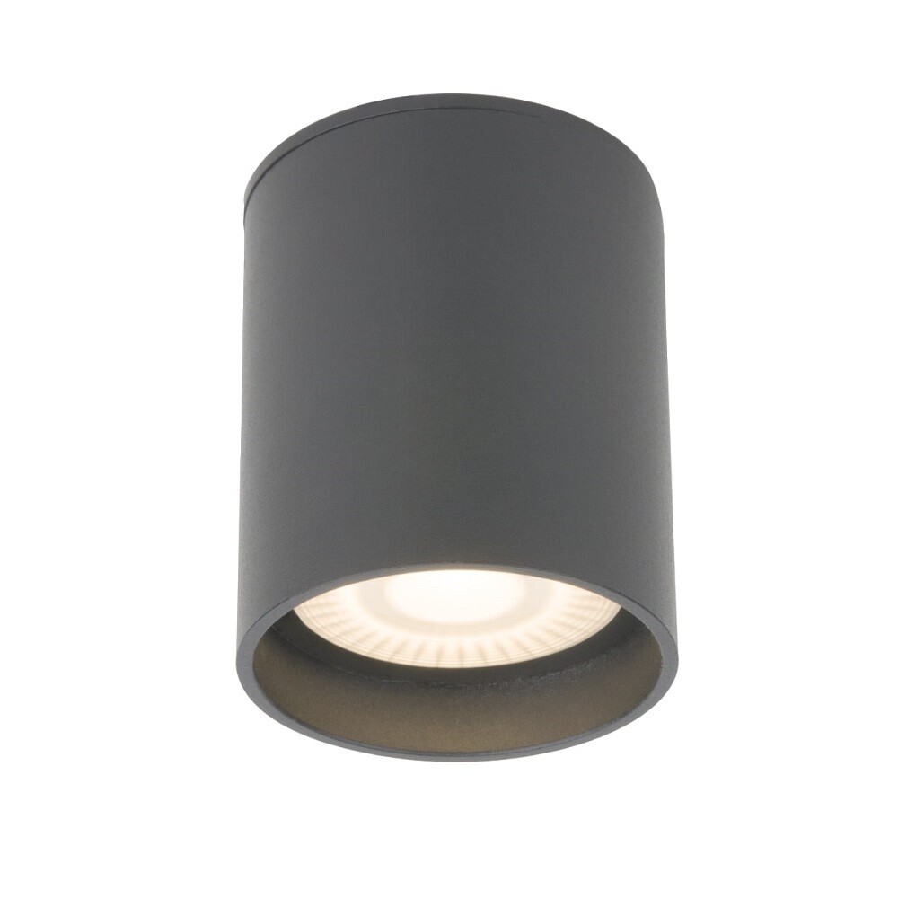Изображение товара Светодиодный садово-парковый светильник Elektrostandard Light LED 10 Вт IP54