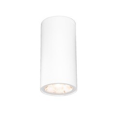 Изображение товара Светильник светодиодный садово-парковый накладной Elektrostandard Light LED белый 110 мм 4000К 4 Вт IP65 (35129/H)