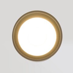 Светильник светодиодный садово-парковый накладной Elektrostandard Light LED черный 110 мм 4000К 10 Вт IP54 (35130/H) - фото 6