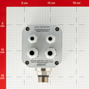 Контроллер давления ПолиТех 1/2 расширенный с плавным пуском 220 В — купить в Москве: цены, характеристики, отзывы и фото в интернет-магазине Петрович.