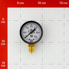 Манометр Росма ТМ-210Р.00 G1/4.2,5 радиальный 1/4 НР(ш) 6 бар d50 мм (6695) - фото 3