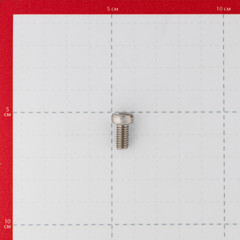 Винт нержавеющая сталь M6x12 мм DIN 84 цилиндрическая головка (4 шт.) - фото 2