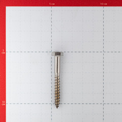 Болт сантехнический 6х50 мм DIN 571 нержавеющая сталь (4 шт.) - фото 2