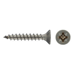 Изображение товара Саморезы универсальные 25x4,0 мм нержавеющая сталь (12 шт.)