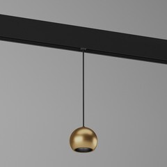 Светодиодный трековый светильник магнитный Elektrostandard Slim Magnetic 4200К 5 Вт 1 кв.м черный/латунь (85040/01) - фото 8