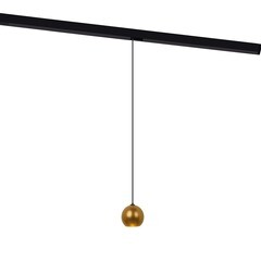 Изображение товара Светодиодный трековый светильник магнитный Elektrostandard Slim Magnetic 4200К 5 Вт 1 кв.м черный/латунь (85040/01)