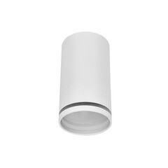 Изображение товара Светильник потолочный IN HOME НПБ GU10 белый IP20 (4690612046518)