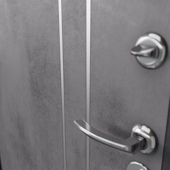 Дверь входная Mastino Раин правая букле графит - бетон 960х2050 мм - фото 3