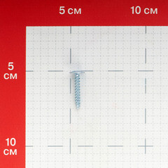 Саморезы клопы 25x4,2 мм (200 шт.) - фото 2