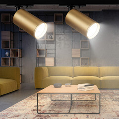 Трековый светильник однофазный Эра TR39-GU10 MG 15 Вт GU10 MR16 1 кв.м золото (Б0053312) - фото 3