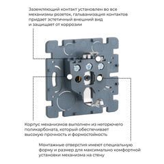 Розетка Werkel Gallant накладная слоновая кость со шторками с крышкой (a051546) - фото 4
