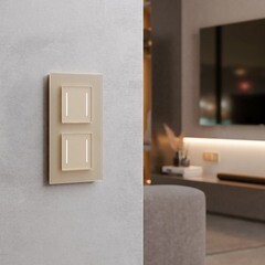 Выключатель Werkel двухклавишный встраиваемый шампань сенсорный с подсветкой (a063604) - фото 4