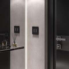 Выключатель Werkel двухклавишный встраиваемый черный сенсорный с подсветкой (a063602) - фото 2