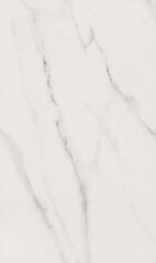 Плитка облицовочная Gracia Ceramica Ribeira 01 белая 500х300х8 мм (8 шт.=1,2 кв.м) - фото 1