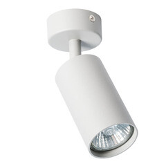 Спот Arte Lamp Aquarius GU10 35 Вт 1 кв.м серый IP20 (A3216PL-1GY) - фото 1